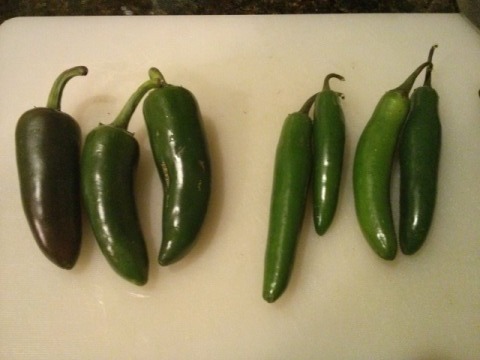 Peppers